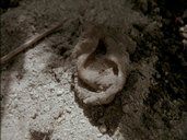 Thumbnail image 47 from the Millennium episode Gehenna.